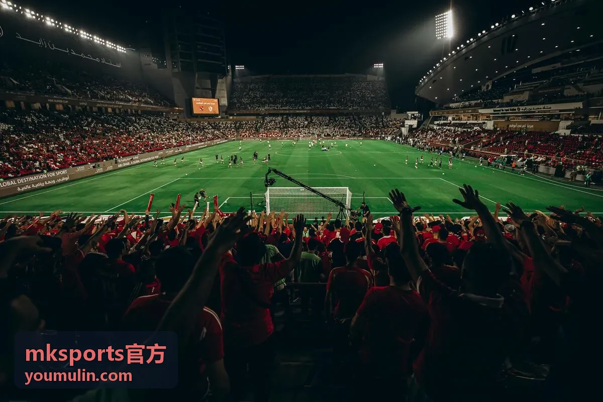 mksports官方 积分榜与排名变化条目封面