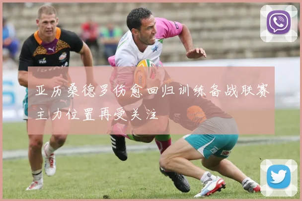 亚历桑德罗伤愈回归训练备战联赛主力位置再受关注