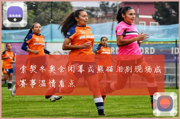 索契冬奥会闭幕式熊猫泪别现场成赛事温情看点