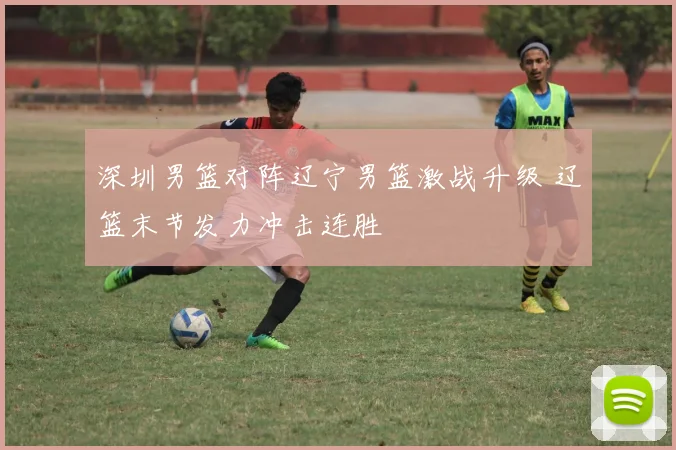 深圳男篮对阵辽宁男篮激战升级 辽篮末节发力冲击连胜