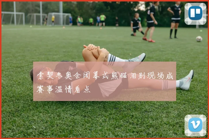 索契冬奥会闭幕式熊猫泪别现场成赛事温情看点