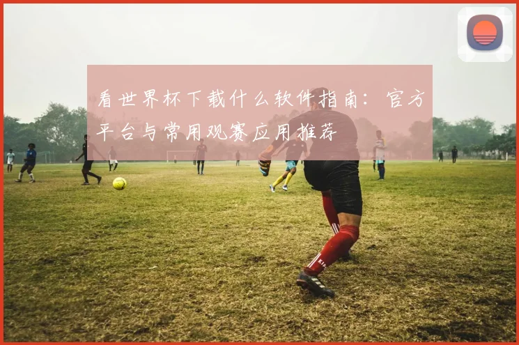 看世界杯下载什么软件指南：官方平台与常用观赛应用推荐