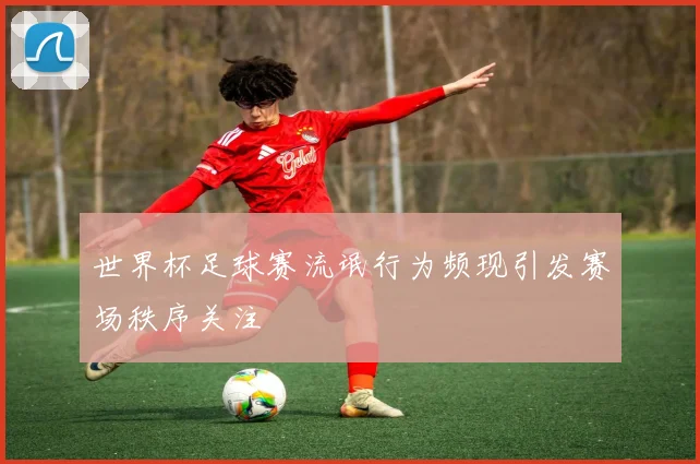 世界杯足球赛流氓行为频现引发赛场秩序关注