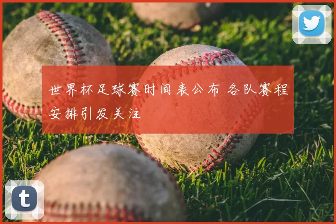 世界杯足球赛时间表公布 各队赛程安排引发关注
