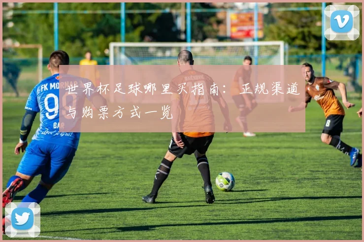 世界杯足球哪里买指南：正规渠道与购票方式一览
